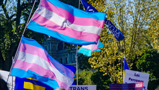 Bild von trans Flaggen bei einer trans rights ralley in Washington DC in 2018